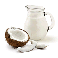 SANTAN KELAPA SEGAR (BIASA)