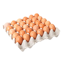 TELUR AYAM GRED A