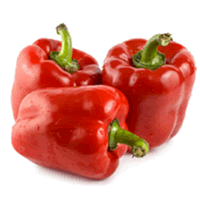 LADA BENGGALA MERAH (CAPSICUM)