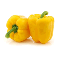 LADA BENGGALA KUNING (CAPSICUM)