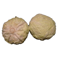 KUBIS BULAT IMPORT (INDONESIA)