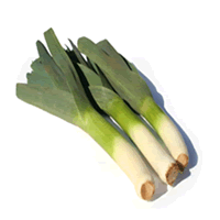 BAWANG PERAI (LEEK) TEMPATAN