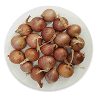 BAWANG KECIL MERAH IMPORT (MYANMAR)