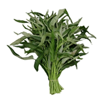 KANGKUNG