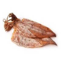 SOTONG KERING (SAIZ SERDAHANA)