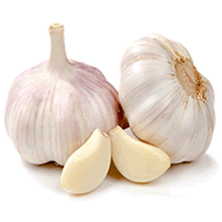 BAWANG PUTIH IMPORT (CHINA)