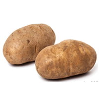 UBI KENTANG RUSSET
