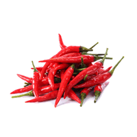 CILI AKAR MERAH
