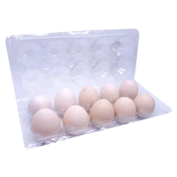 TELUR AYAM KAMPUNG