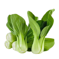 SAWI PENDEK/JEPUN/SIOW PAK CHOY (1KG)
