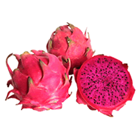 DRAGON FRUIT MERAH