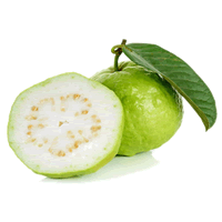 JAMBU BATU BERBIJI