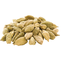 BUAH PELAGA