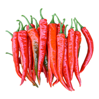 CILI MERAH - KULAI